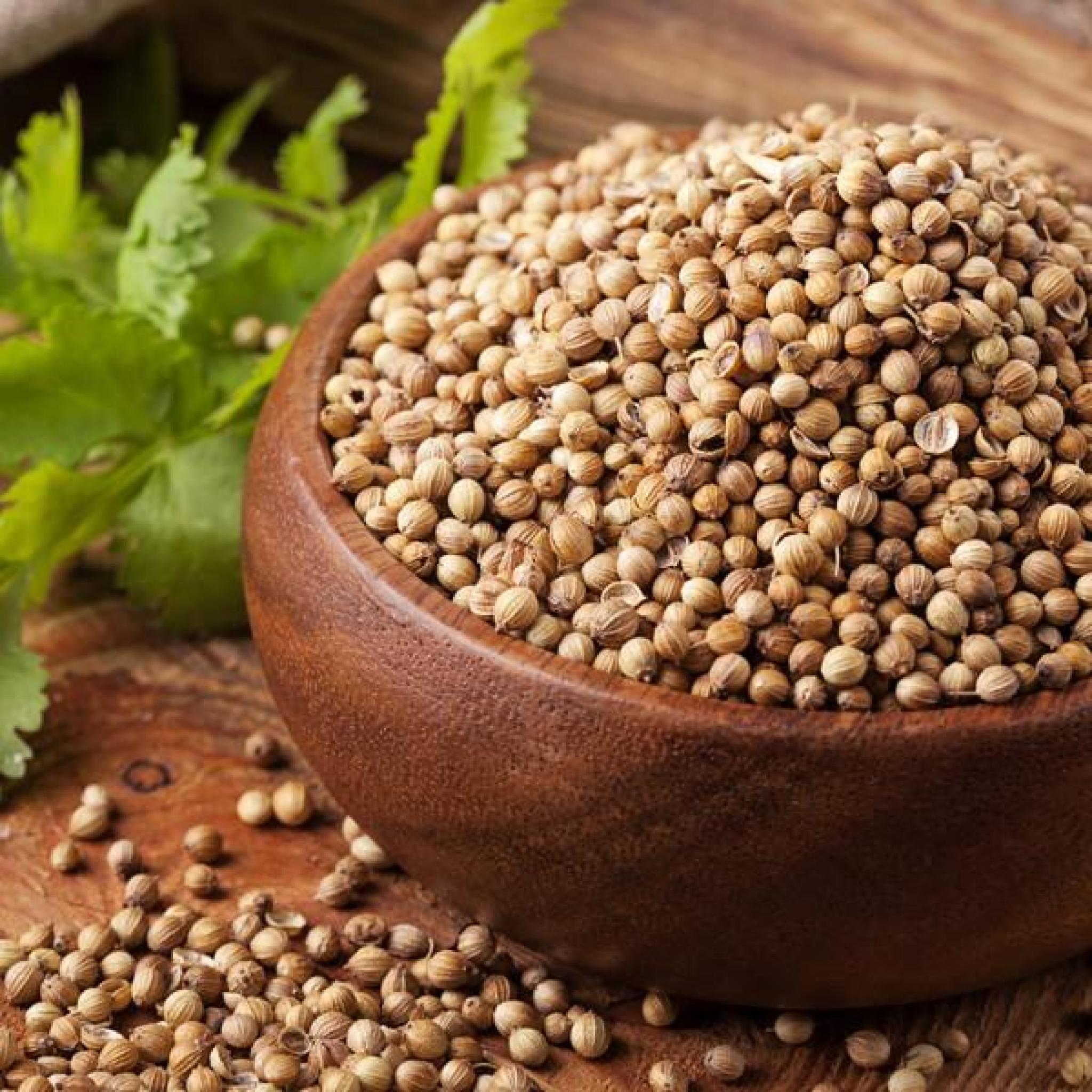 Coriander Powder, 85gm Ayurveda Shop