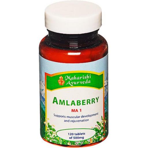 Amlaberry (MA1) 60g