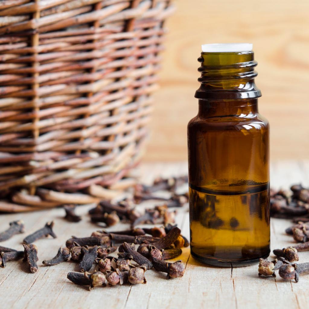 Clove Bud Essential Oil, 10ml Ayurveda Shop